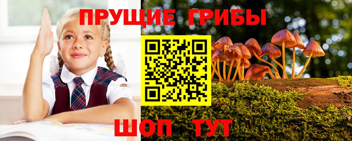 Ипатово  Галлюциногенные грибы MAGIC MUSHROOMS  Вход с VPN 